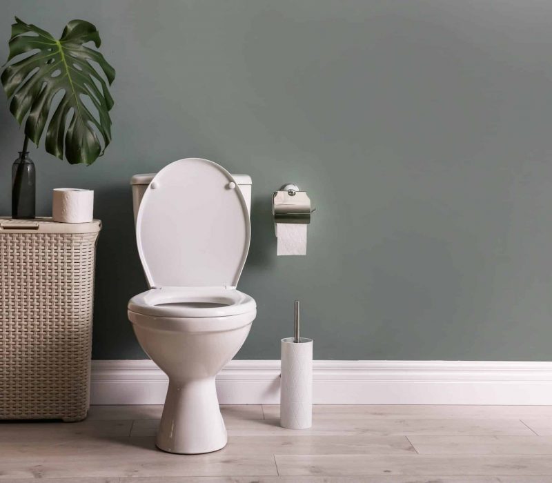 Neue Keramik-WC-Schüssel im modernen Badezimmer